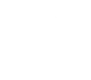 FALL DOWNS